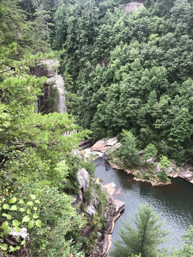 Looking down into Tallulah Gorge from the rim